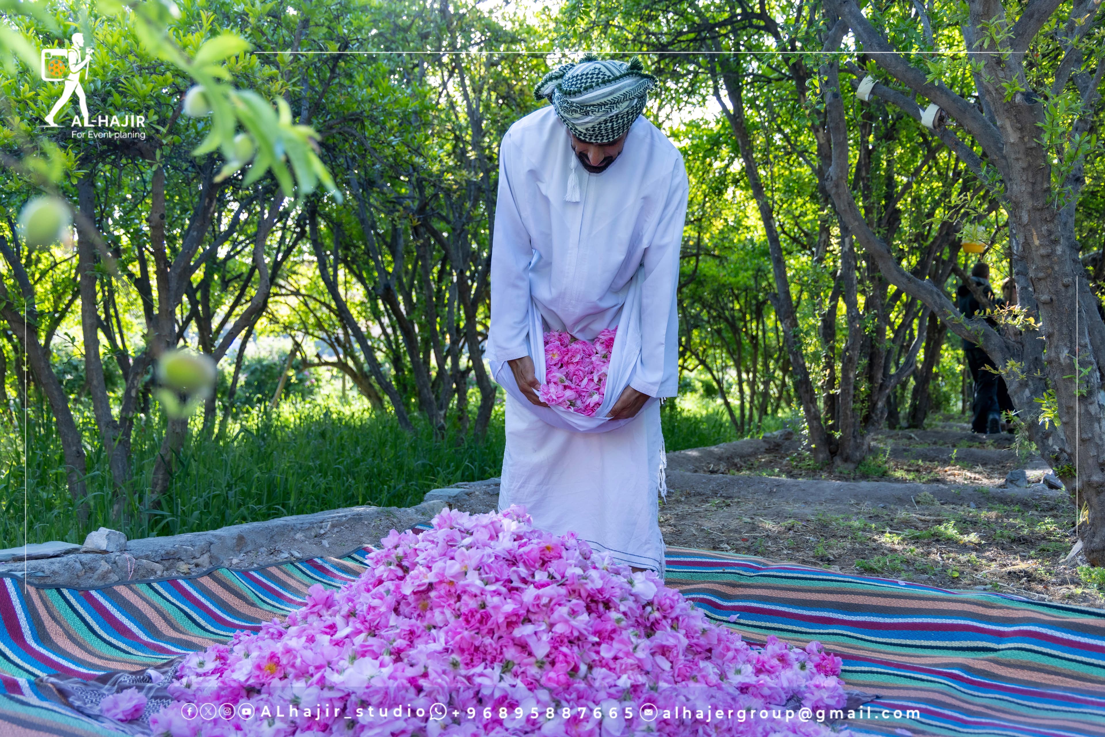 Rose season in the Green Mountain